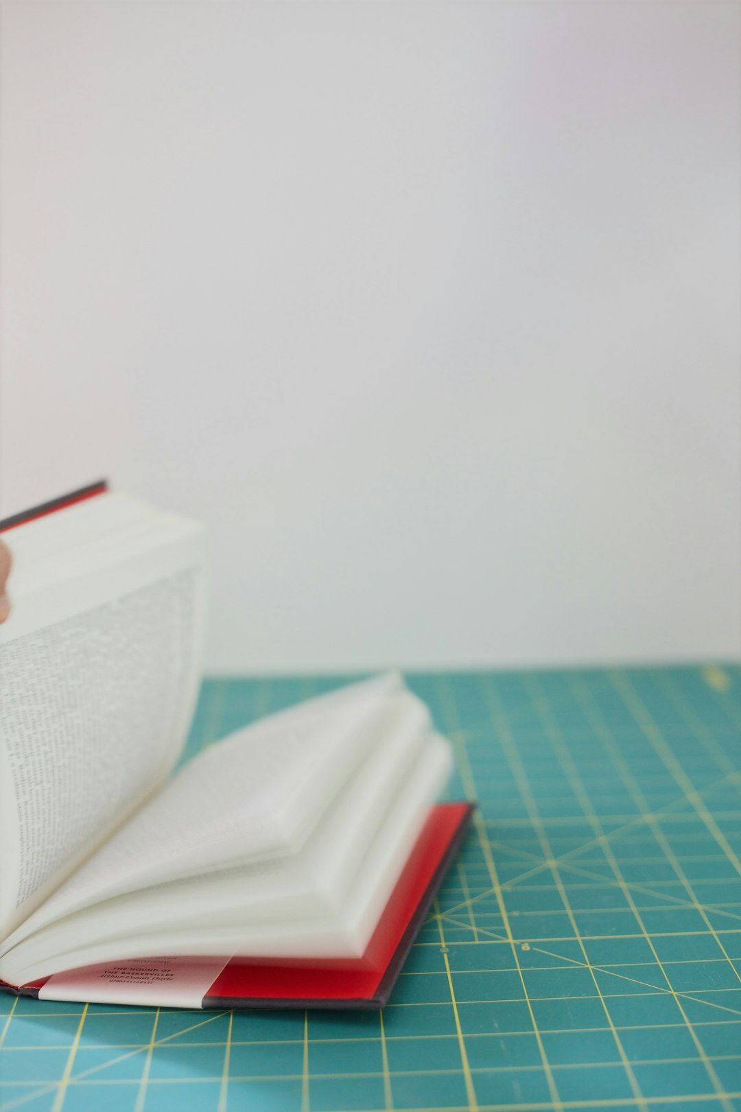 book with surprise twist