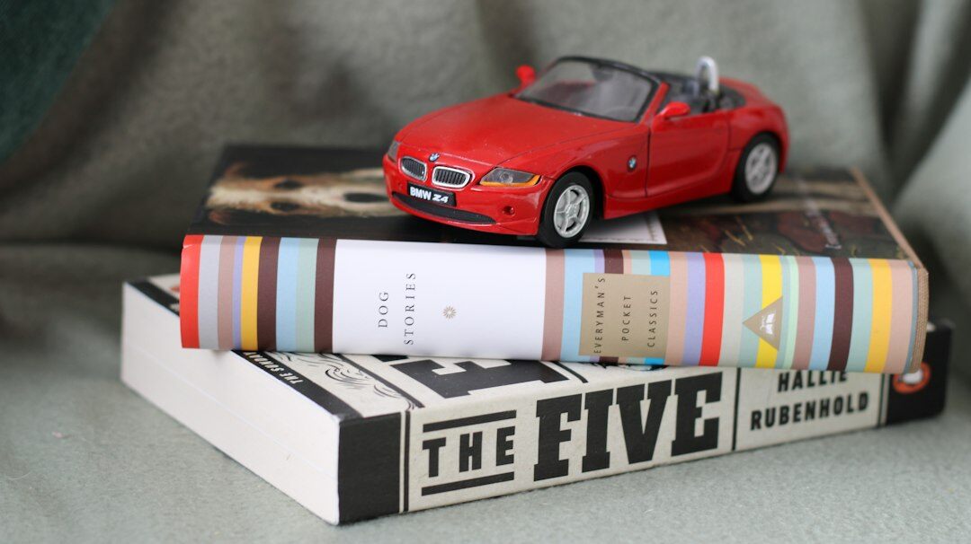 book with surprise twist